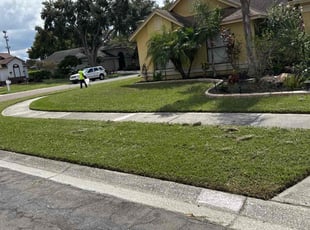 Mike A.'s lawn care service result