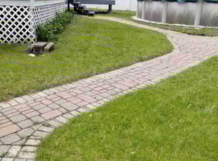 Amy S.'s turf care service result