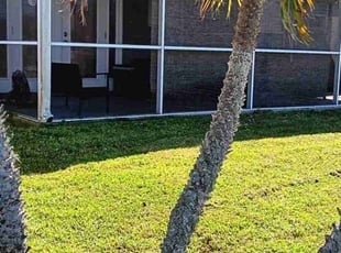 Erica E.'s turf care service result