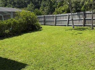 John H.'s turf care service result