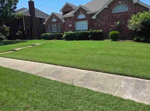 James G.'s lawn maintenance service result