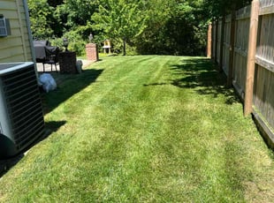 Chloe S.'s grass cutting service result