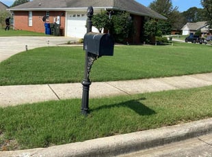 Lois W.'s turf care service result