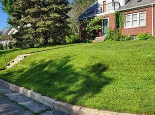 Mandi S.'s lawn service service result
