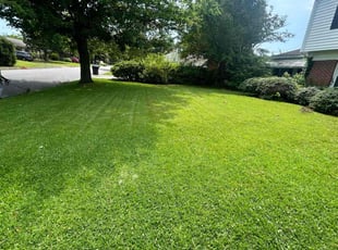 Debra J.'s lawn care services service result