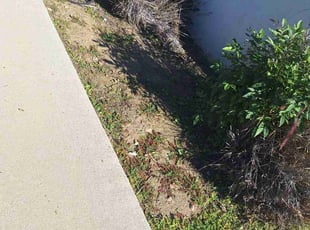 Brittany S.'s lawn maintenance service result