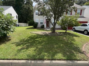 America O.'s grass cutting service result