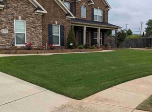 Christina H.'s landscape maintenance service result