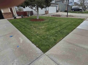 Tim H.'s turf maintenance service result