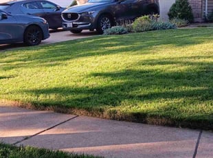 Patrick M.'s lawn care services service result