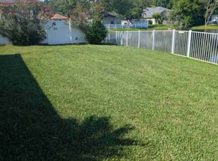 Megan J.'s turf maintenance service result