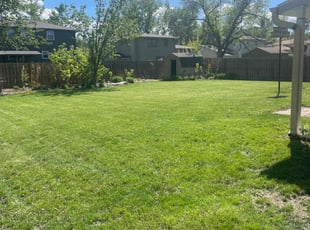 Dhana C.'s grass maintenance service result