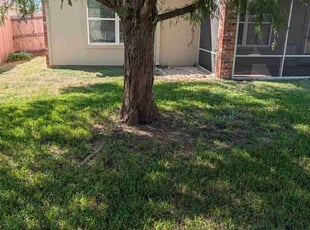 Tristan C.'s grass maintenance service result