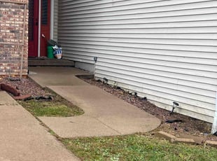 Deborah P.'s lawn care service result