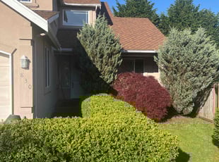 Henry P.'s Bush Trimming service result