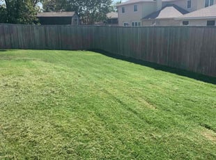 Talha H.'s grass maintenance service result