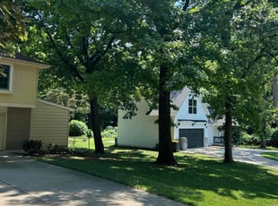 Jimmy C.'s turf maintenance service result