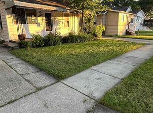 Dan H.'s grass maintenance service result