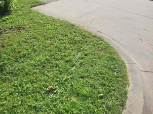 Kellee R.'s lawn care services service result