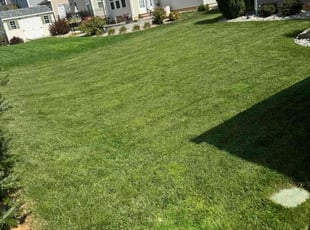 Matthew O.'s lawn service service result