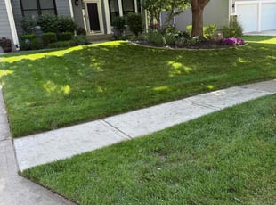 Bryan L.'s lawn service service result