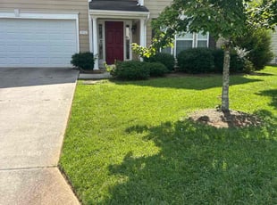 Brian T.'s turf care service result