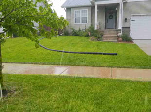 Connie N.'s lawn service service result