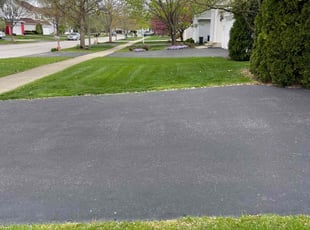 Lauren K.'s grass cutting service result