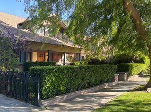 Kenny F.'s Bush Trimming service result