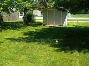 Lewis S.'s lawn maintenance service result