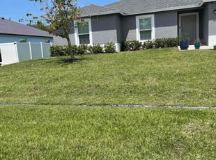 Alexandria F.'s lawn maintenance service result