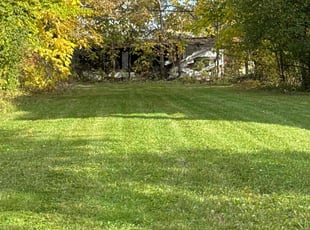 Mark P.'s turf maintenance service result