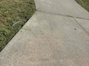 Marchelle M.'s Long Grass Cleanup service result
