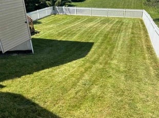 Andrea L.'s lawn care services service result