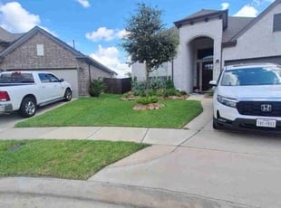 Lisa G.'s turf care service result