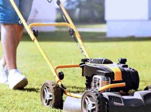 Ernestine C.'s grass cutting service result