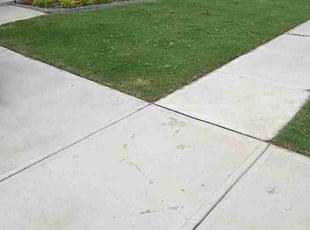 Salena B.'s lawn maintenance service result