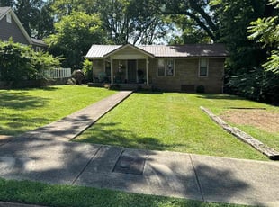 Anthony C.'s grass maintenance service result