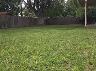 Chandler J.'s lawn maintenance service result
