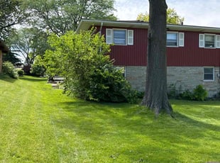 Andy P.'s turf maintenance service result