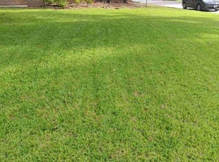 Jessica B.'s landscaping service result