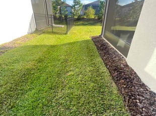 Virginia A.'s grass maintenance service result