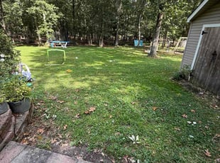 Clare C.'s lawn service service result