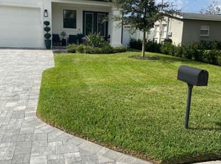 Tyler C.'s grass maintenance service result