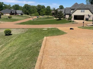 Carolina D.'s lawn maintenance service result