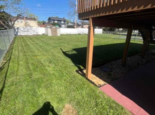 Tristen B.'s lawn care services service result