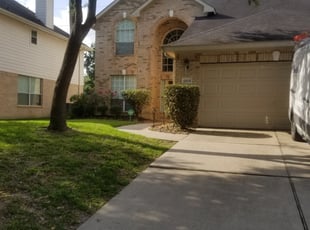 Samantha L.'s Bush Trimming service result