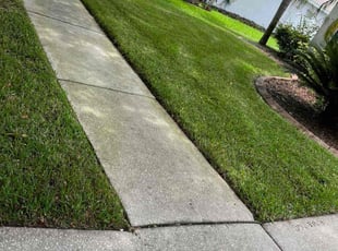 Deanna A.'s lawn care services service result