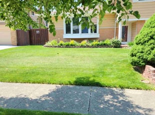 Barbara A.'s grass cutting service result