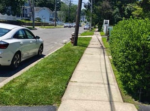 Thaddius H.'s lawn maintenance service result